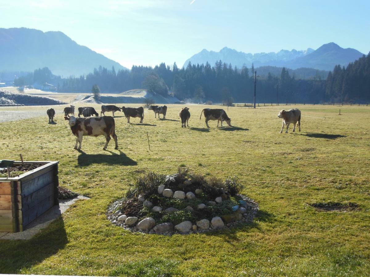 Gaestehaus Gruenbacher Kössen Buitenkant foto