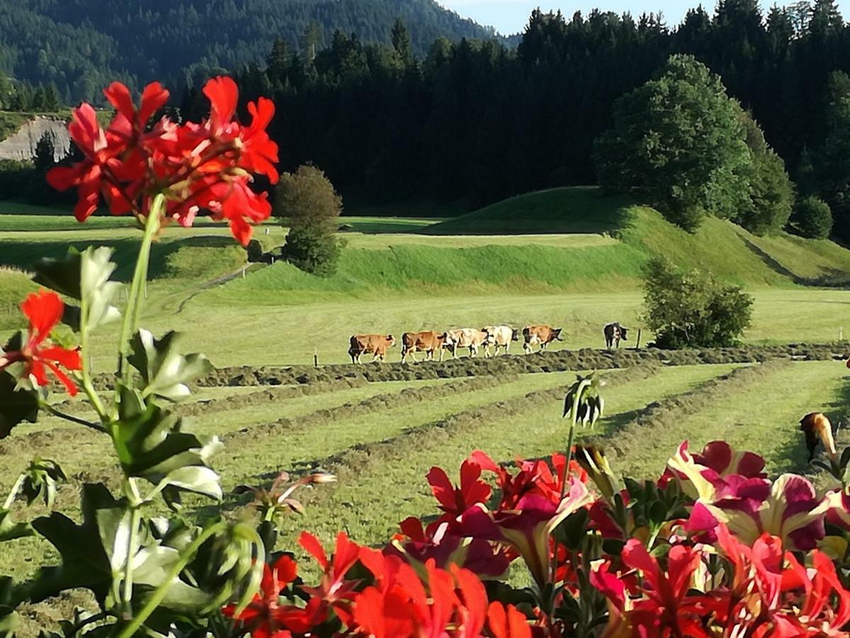 Gaestehaus Gruenbacher Kössen Buitenkant foto